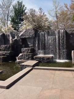 A tranquil water feature surrounded by natural plants and stones.
