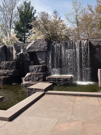 A peaceful water feature surrounded by lush tropical plants.