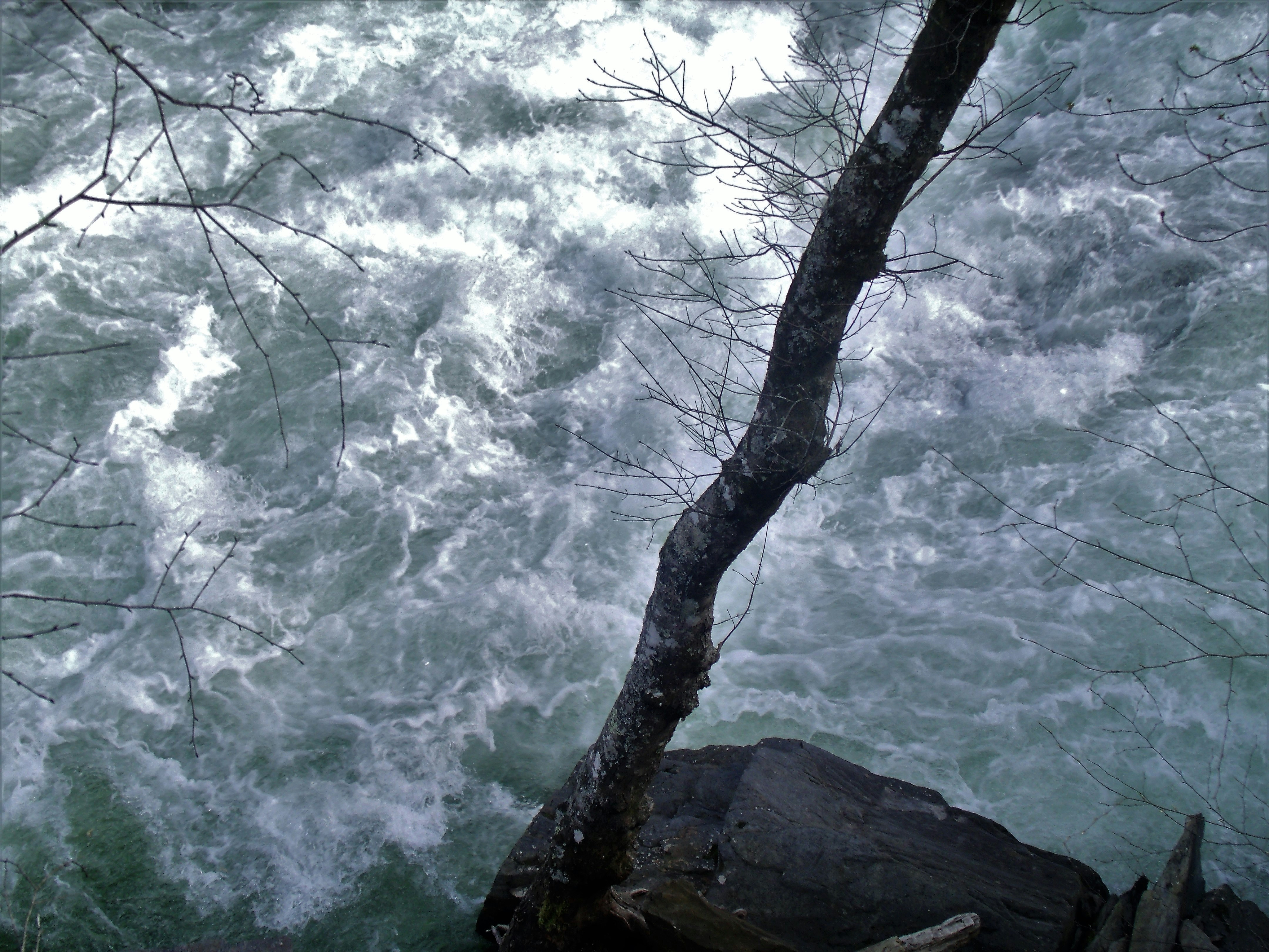 Photo by maezma_photography