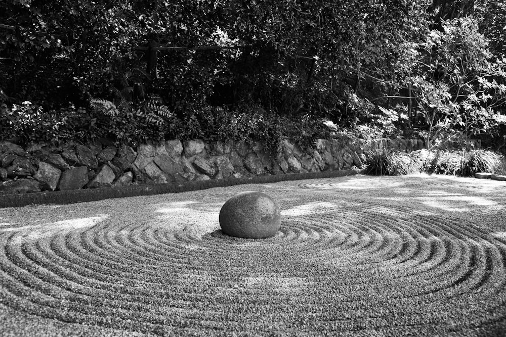 grayscale photo of stone near leaves