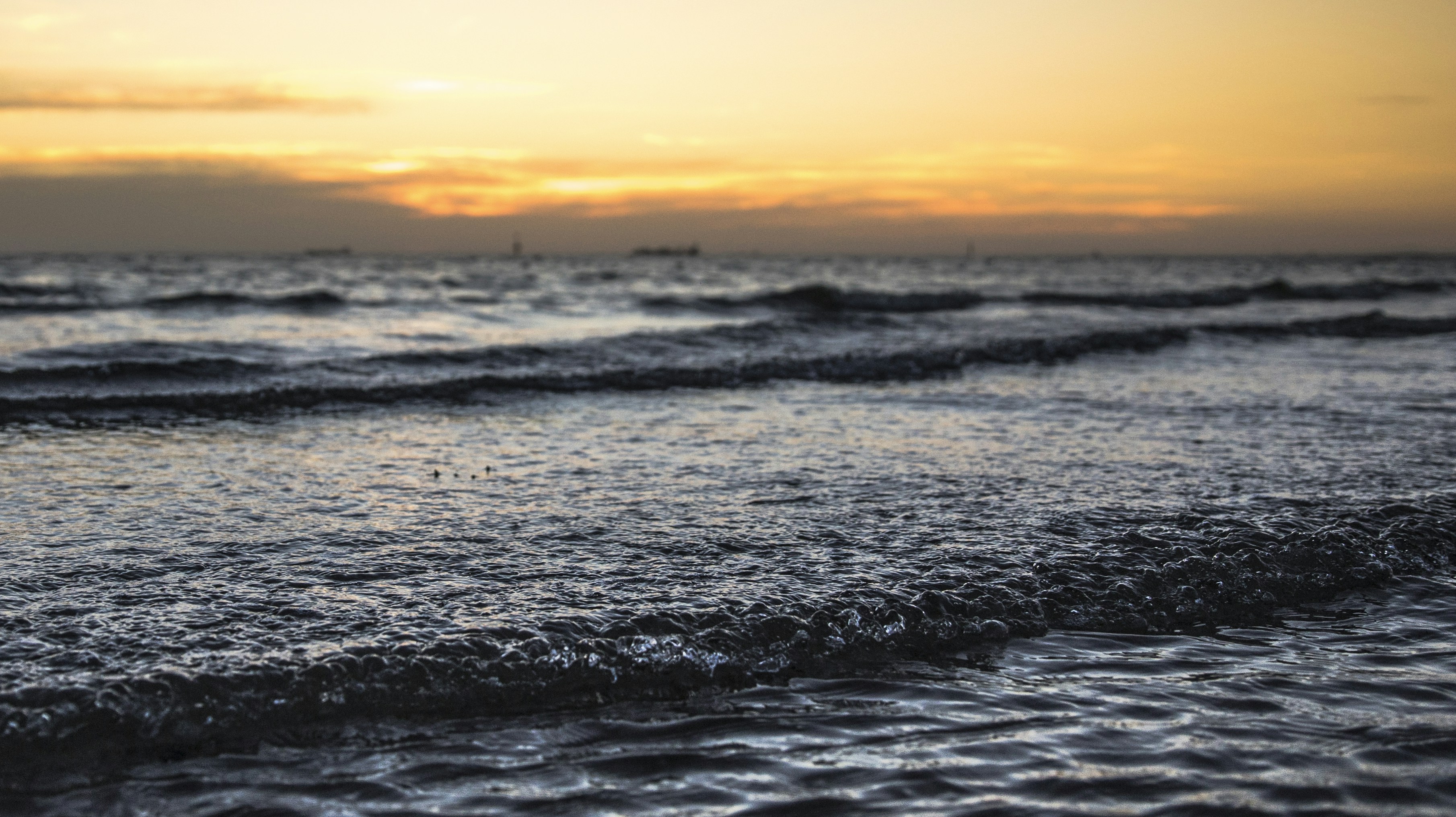 Photo by kevin_xue_pic