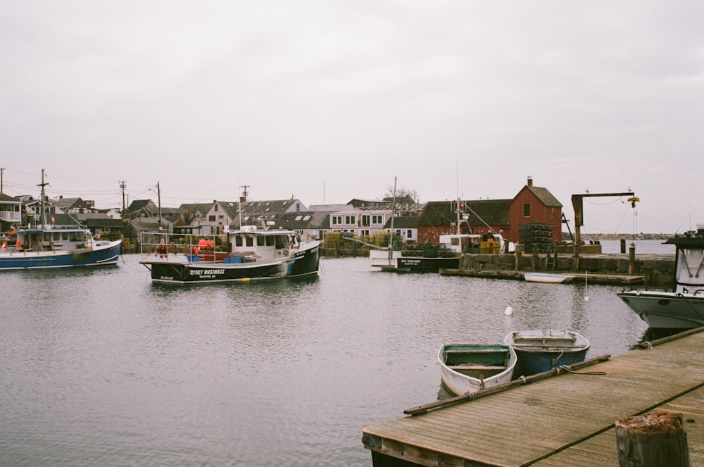 two white and blue jon boat docked on boardwalk