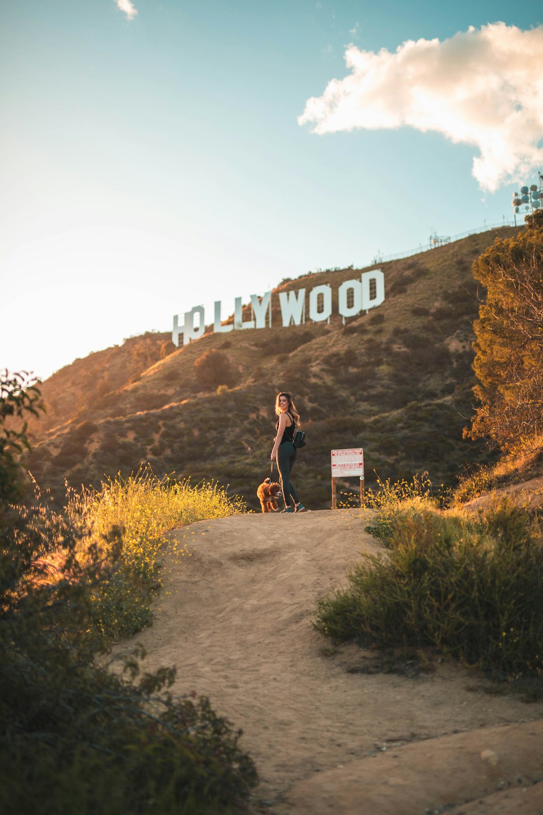 Mountain photo spot Hollywood Sign Angeles National Forest