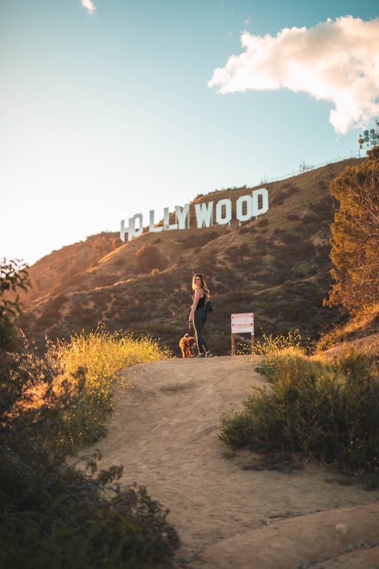 Hollywood Sign things to do in Venice