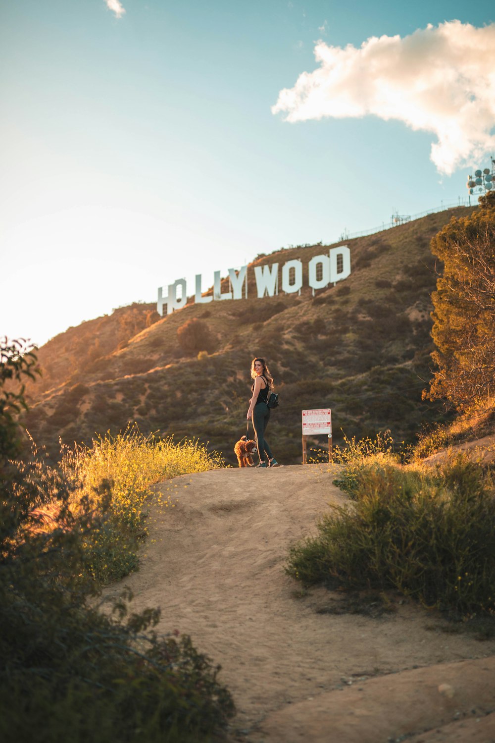 woman standing with brown dog