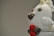 A handmade crocheted toy with various colors, primarily white, with brown and red accents. The plush has a rounded shape, with small crocheted elements on its surface, possibly representing facial features or decorations. It appears to be sitting inside or on the edge of a white ceramic cup. The background is plain and neutral, allowing the toy's details to stand out.