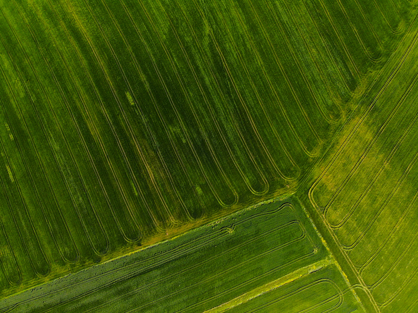 Land & Acreage