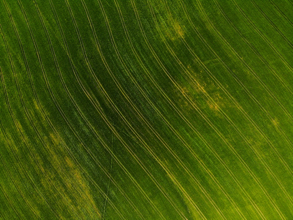 uma vista aérea de um campo verde