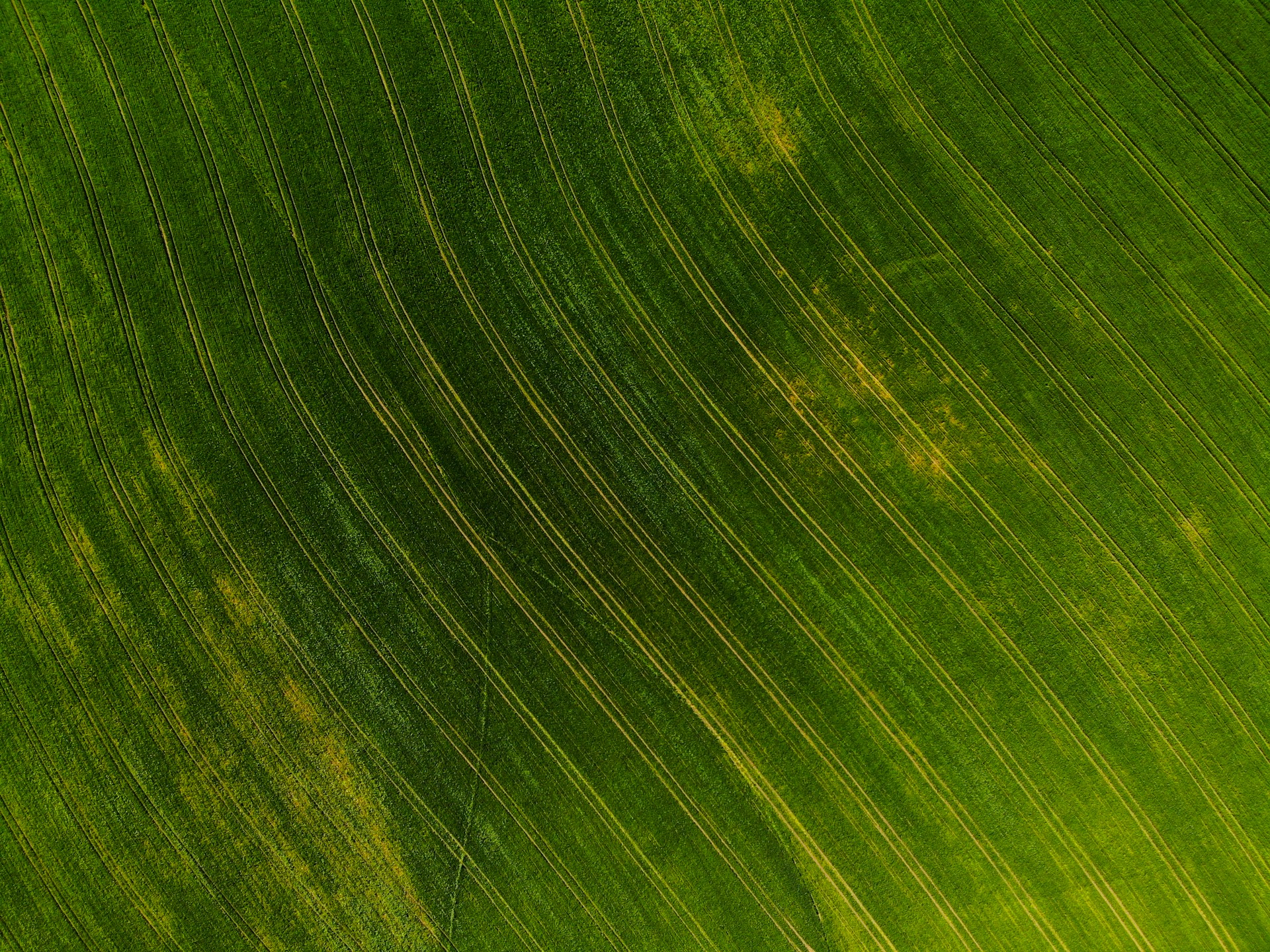 an aerial view of a green field
