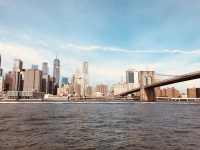 Manhattan Skyline and Brooklyn Bridge - From Brooklyn ferry point, United States