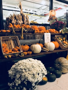 A rustic display of autumnal decorations featuring a variety of pumpkins, gourds, and corn arranged on wooden shelves. There is a large cluster of white chrysanthemums in front and several small orange pumpkins and decorative corn can be seen. A scarecrow doll is placed among the decorations next to maroon flowers, conveying a cozy, fall atmosphere.