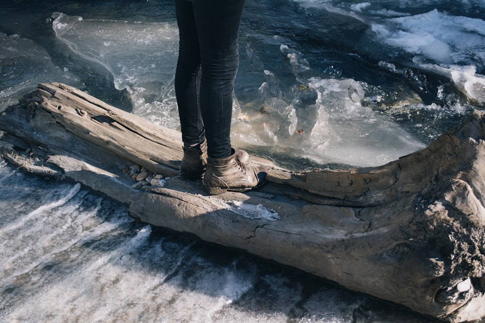 person on brown log