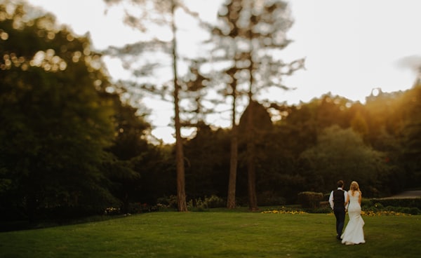 couple walking near tree during daytime