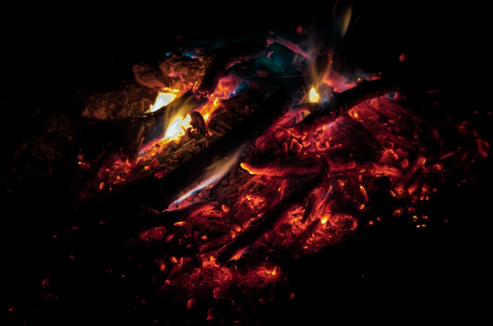 close-up photography of bonfire