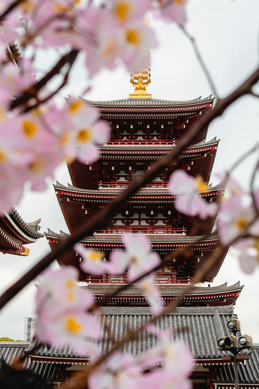 brown pagoda