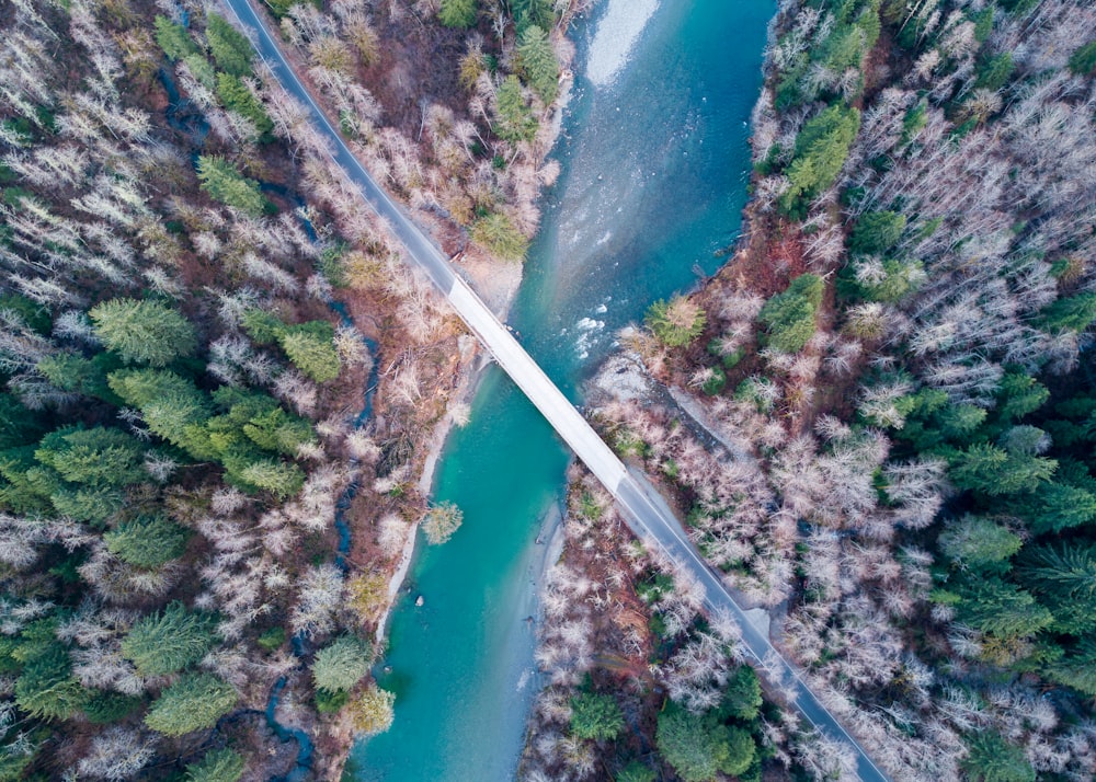 Photographie aérienne d’un pont près de la forêt