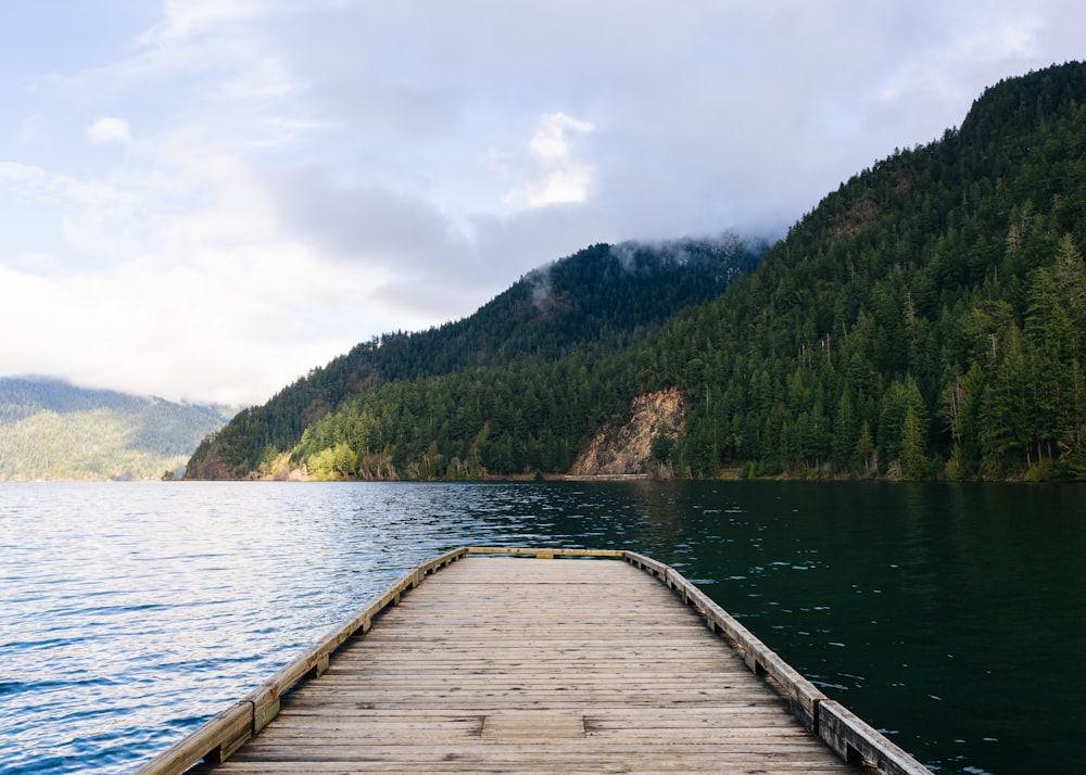 brown wooden dock with island and body of water