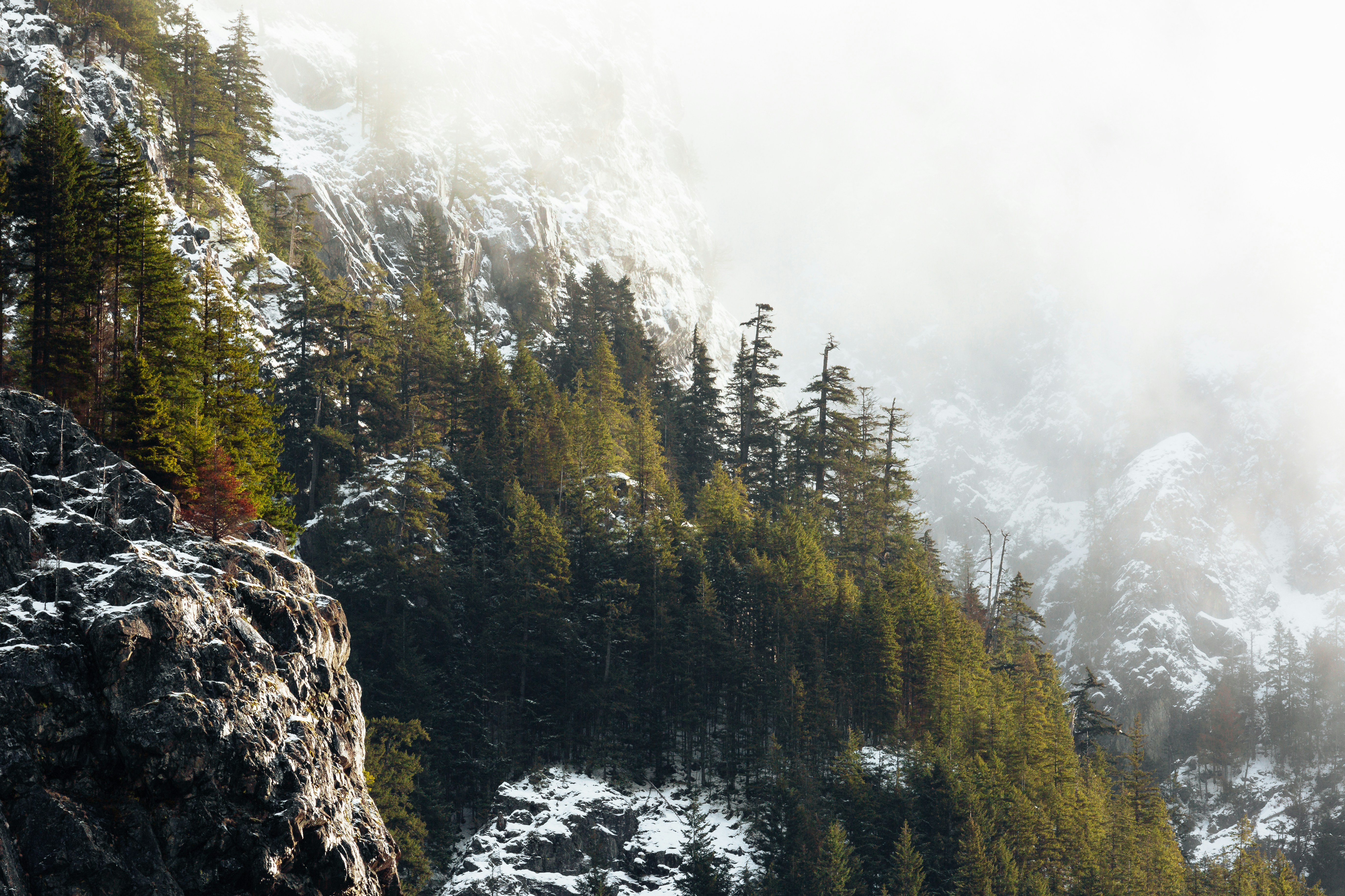 pine forest-covered mountain, Sometimes I have to pull over on the side of the road and stick my camera out the window.</p><p>Mt. Si / North Bend, WA