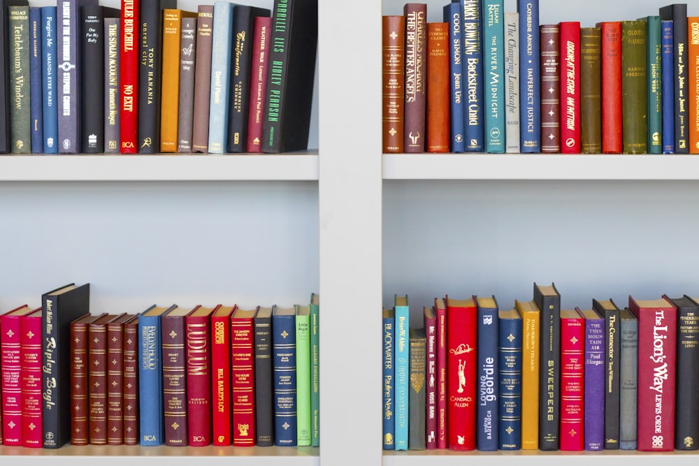 Lot de livres aux titres assortis placé sur une étagère en bois blanc