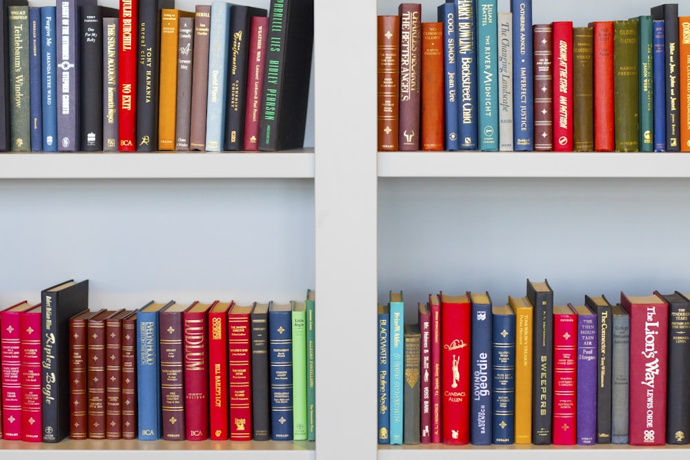 lote de libros de títulos variados colocado en un estante de madera blanca