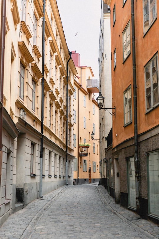 grey concrete pathway between buildings during daytime in The German Church Sweden