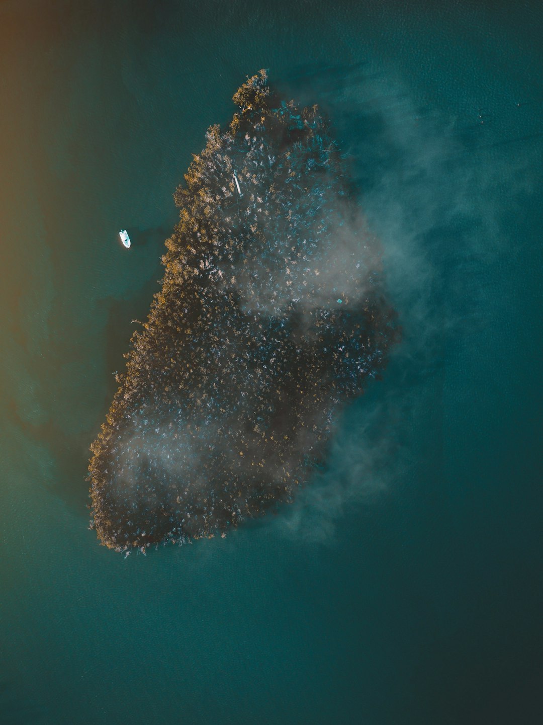 underwater photo of brown and black coral reef