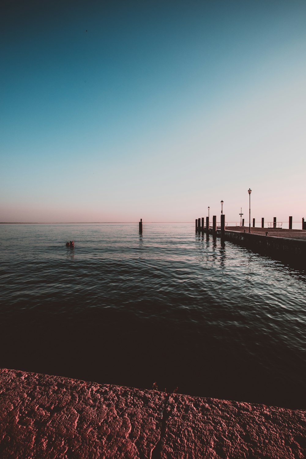 low-angle photo of dockside beside body of water