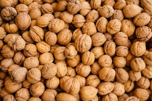 High-quality Turkish Walnuts ideal for bulk distributors