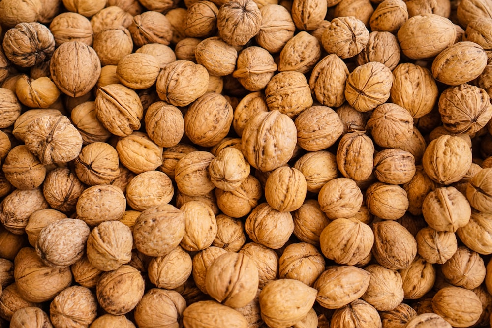 closeup photography of walnuts