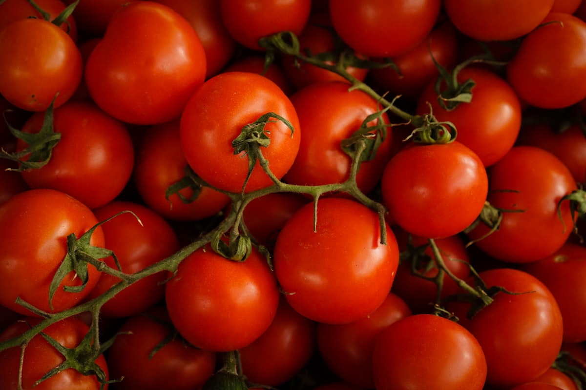 Tomatoes on the vine. Photo by Tom Hermans / Unsplash