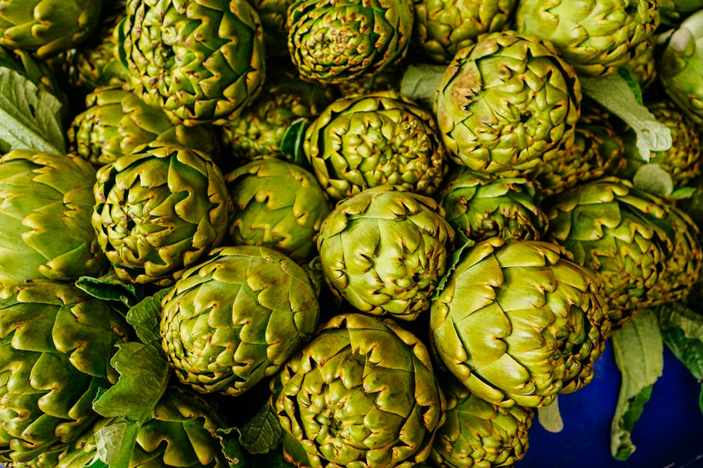 artichoke lot