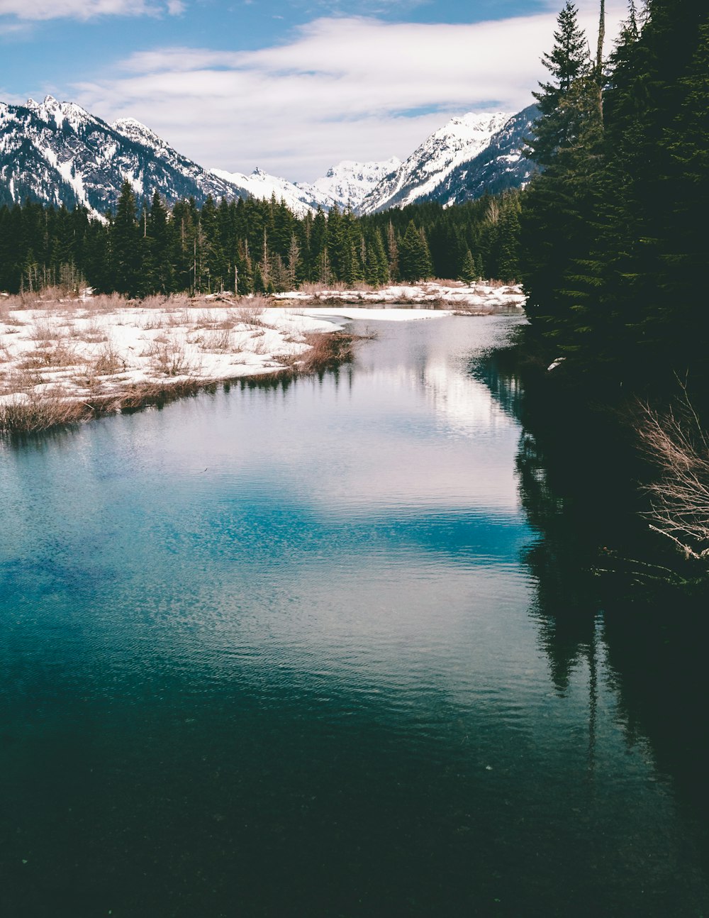 body of water near trees and mountain