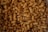 photography of brown nuts