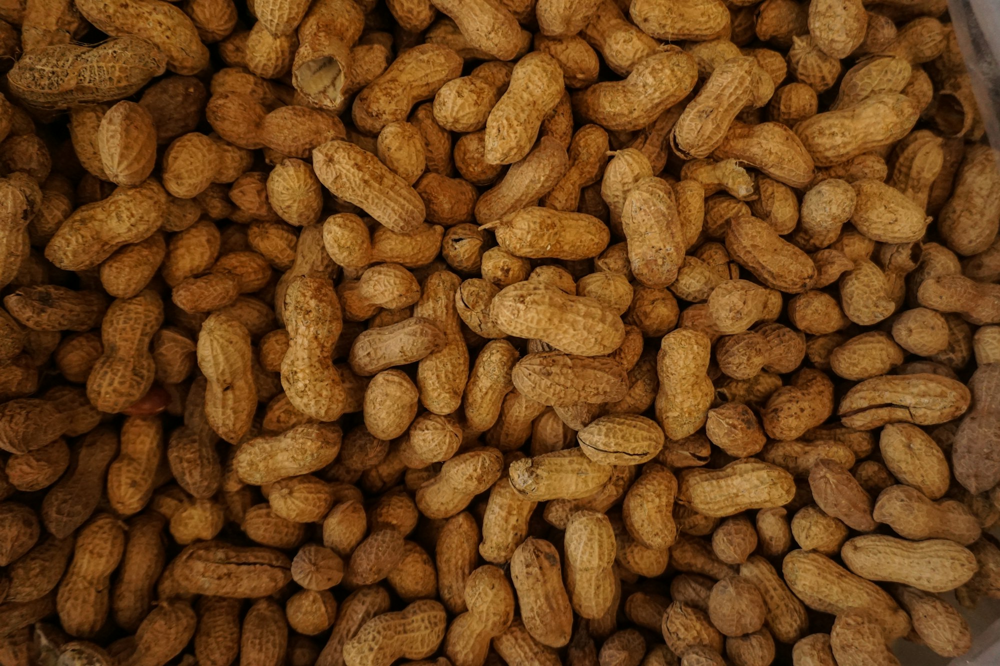 Visited a friend in Turkey who took me to a traditional Turkish farmers’ market where I took a bunch of closeups of nuts, vegetables etc. Very colorful scene. And pics that can be very useful I presume.