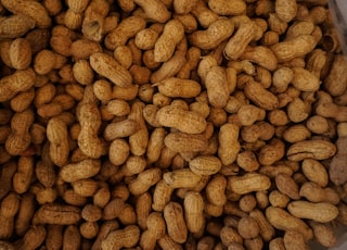 photography of brown nuts