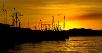 A serene sunset over the water with silhouettes of fishing boats gently rocking in the bay.