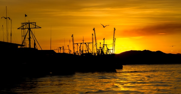 A serene sunset over the water with silhouettes of fishing boats gently rocking in the bay.