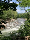 A clear river running through the excursion area, reflecting the surrounding trees.