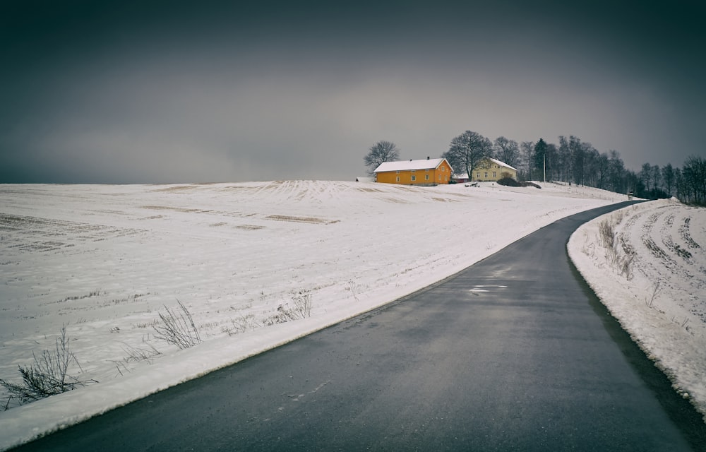 road surrounded by snow