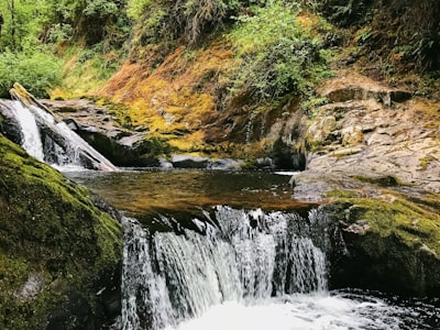 Annice Falls - Aus Sweet Creek Falls, United States