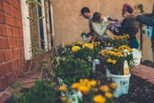 Community members planting flowers together in a neighborhood garden.
