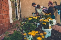 Volunteers planting colorful flowers in the community garden on a bright day.