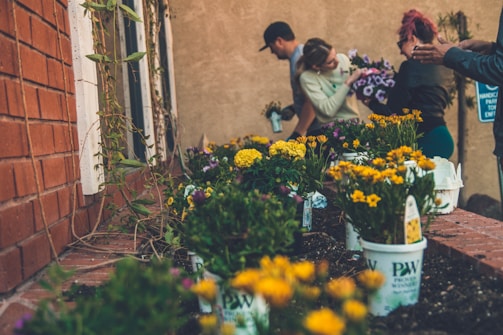 A group of people are involved in gardening activities beside a brick wall. They are planting colorful flowers in pots, with an array of yellow, purple, and green hues dominating the scene. The setting appears to be a garden bed along a wall, with some climbing plants reaching up the bricks.