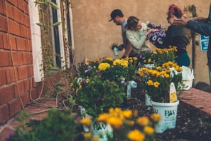 A group of people are involved in gardening activities beside a brick wall. They are planting colorful flowers in pots, with an array of yellow, purple, and green hues dominating the scene. The setting appears to be a garden bed along a wall, with some climbing plants reaching up the bricks.