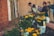 A group of diverse volunteers working together in a community garden, planting flowers and vegetables.