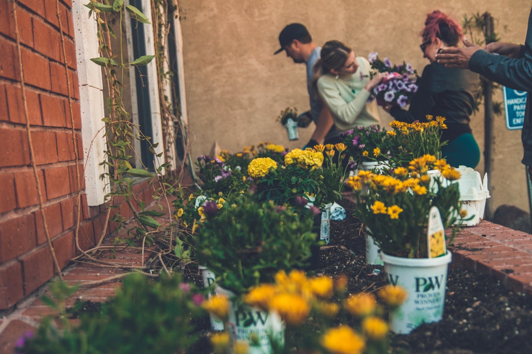 shallow focus photography of yellow flowers near people