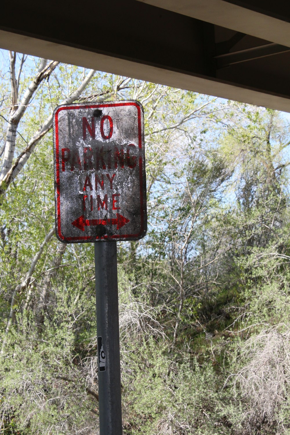 no parking any time signage near green trees at daytime