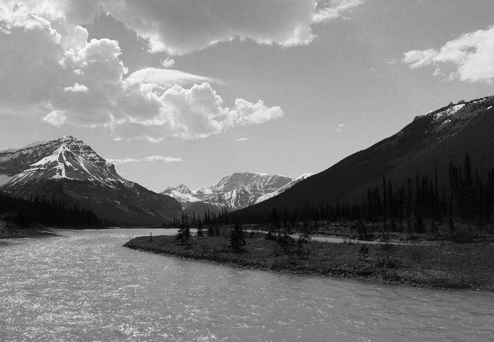 grayscale photo of trees and mountains near body of water