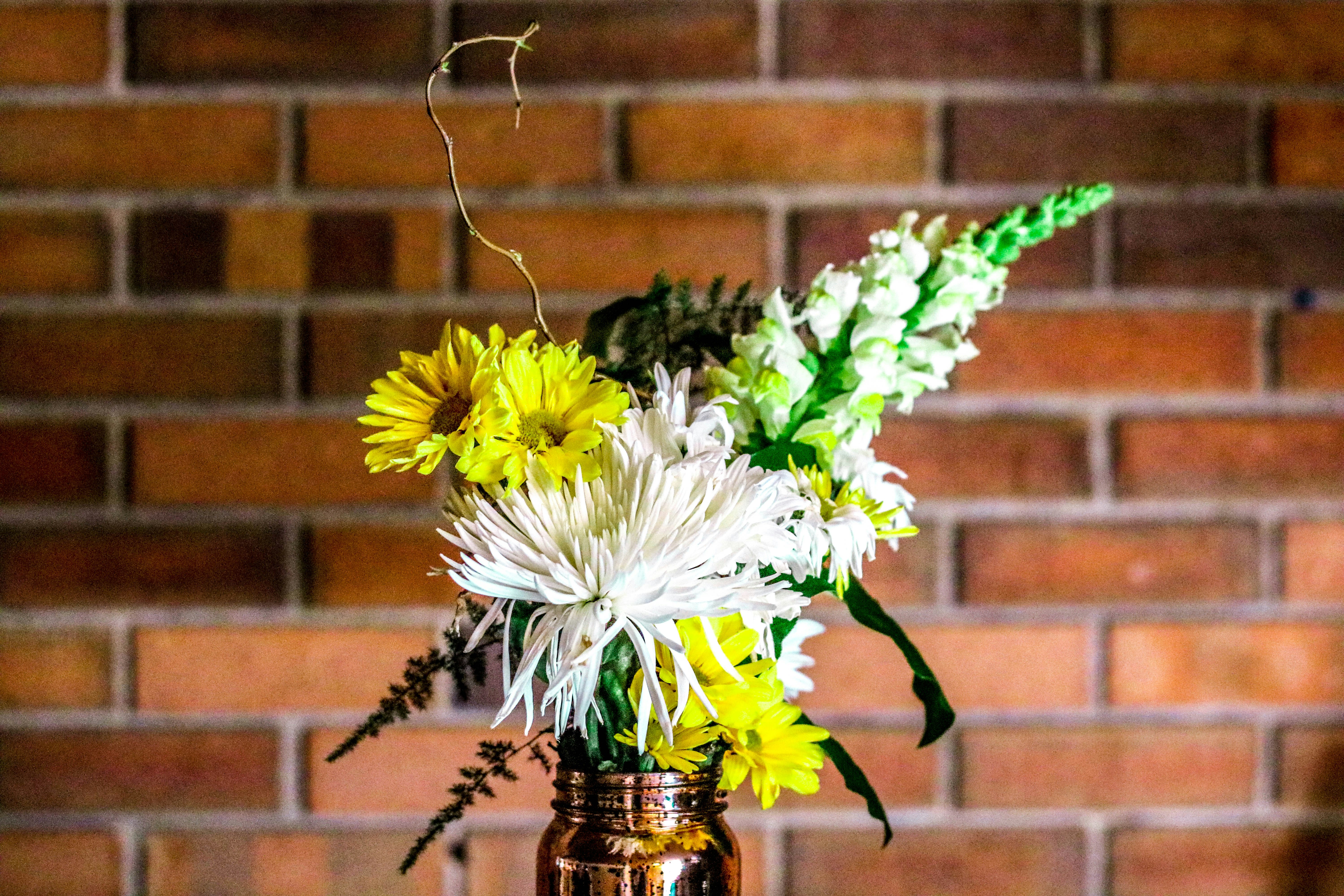yellow and white flower on vase