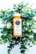 vitality shot container
